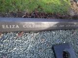 image of grave number 376251